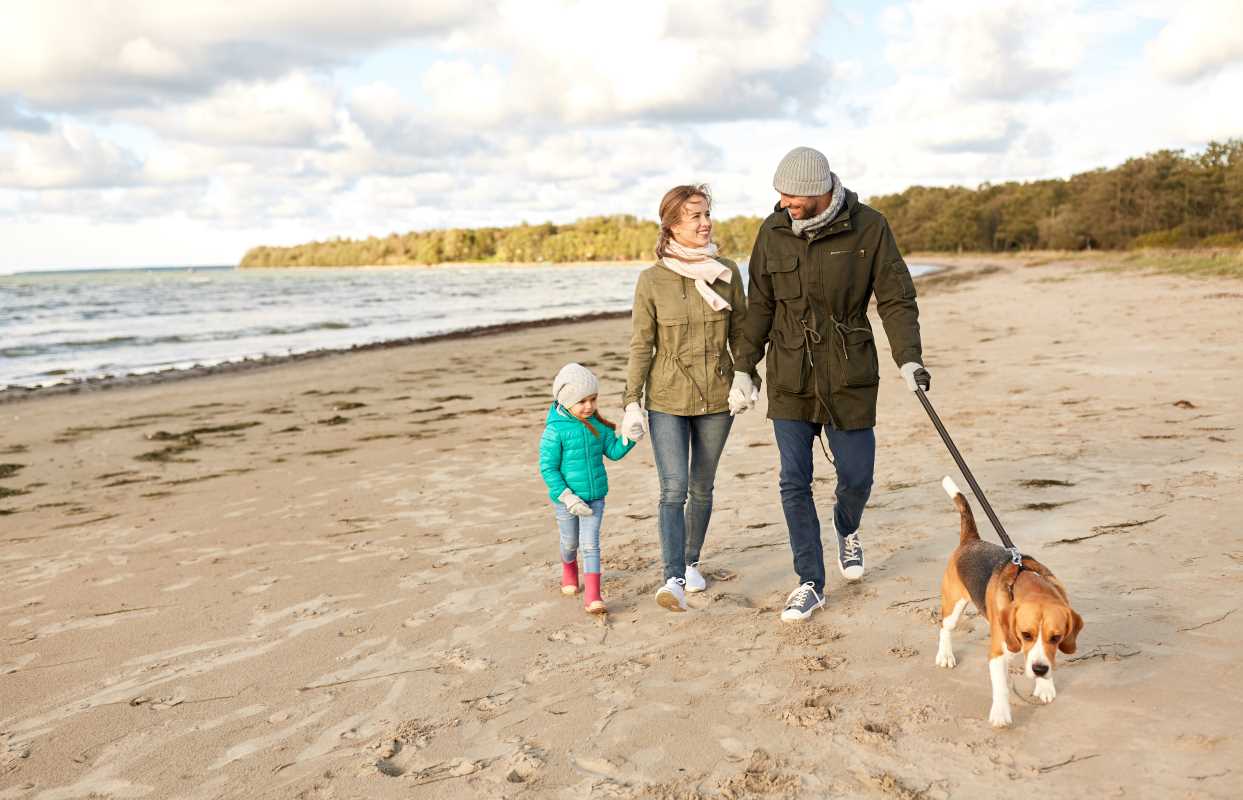 Weekend Walks with Purpose for Family Bonding and Learning