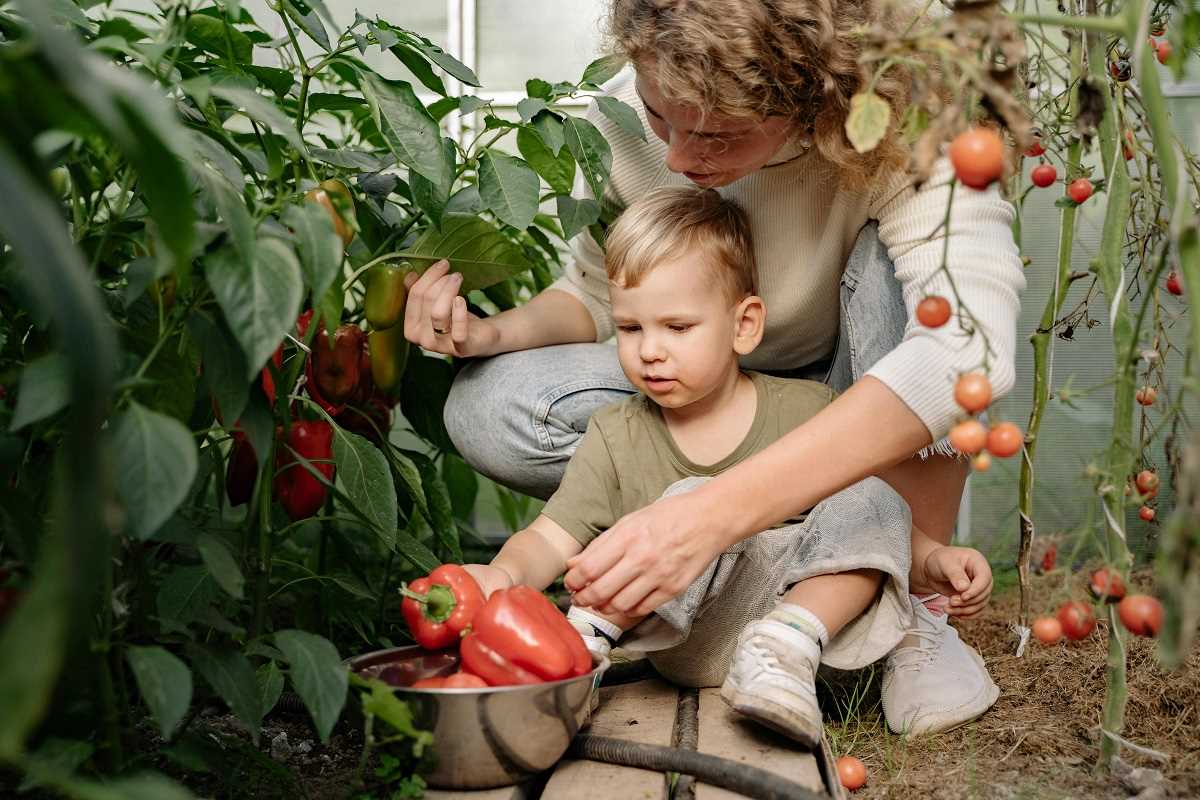 How to Raise Vegan Children in a Family That Loves Meat
